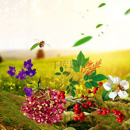 草地植物花卉食品促銷主圖設(shè)計(jì) 千庫網(wǎng)免費(fèi)PSD素材推薦