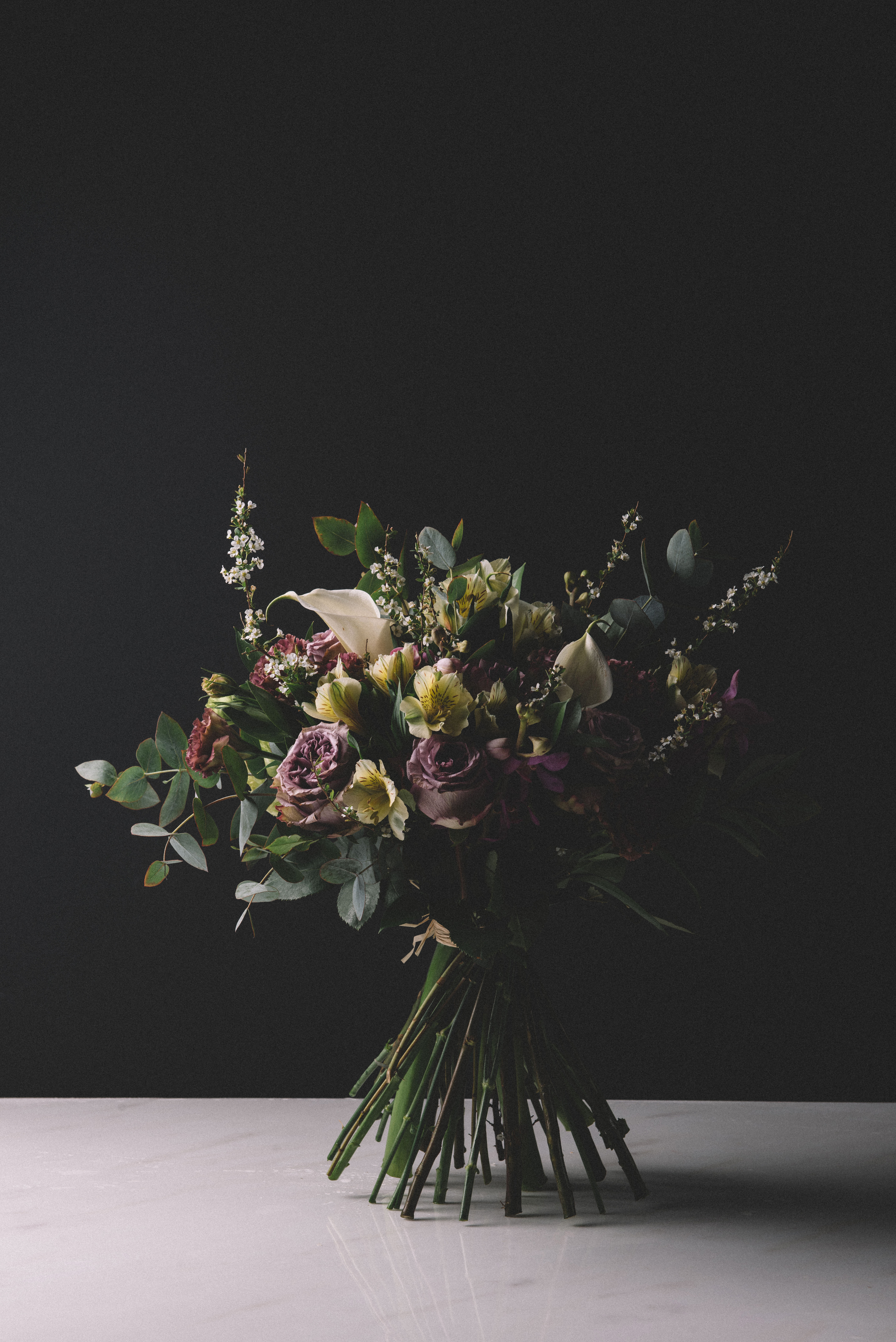 半朵鮮花 靜物花卉攝影中的殘缺美學