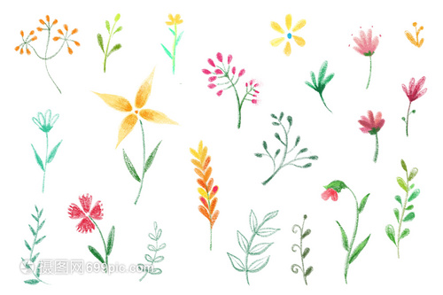 手繪花卉與苗木種植 藝術(shù)與自然的和諧共生