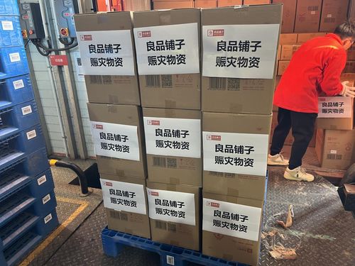 第二批愛心物資從武漢啟程 良品鋪子馳援青海民和縣及一線物資供銷運轉紀實